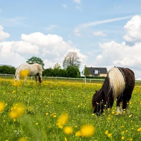 Eifel-apartments * Orsfeld