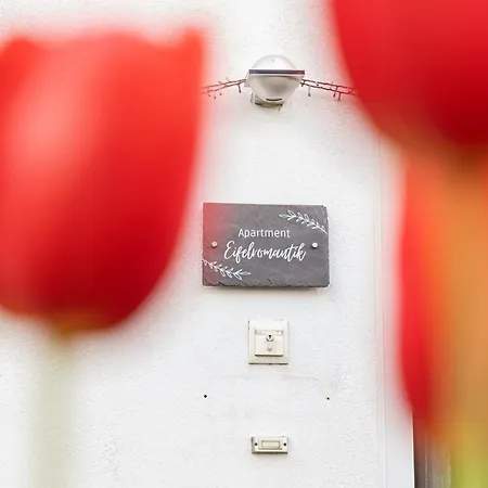 Eifel-apartments Apartment *