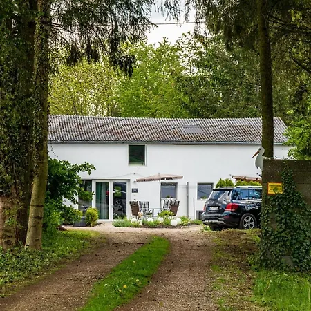 Eifel-apartments Apartment