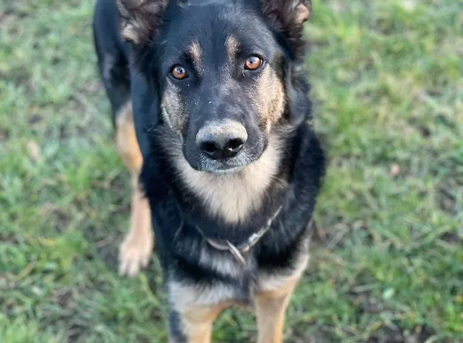 Eifel-Apartments Orsfeld - Apartments Mit Tieren & Natur Διαμέρισμα