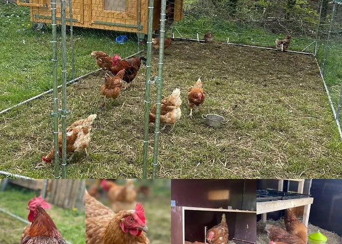 Διαμέρισμα Eifel-Apartments Orsfeld - Apartments Mit Tieren & Natur Orsfeld