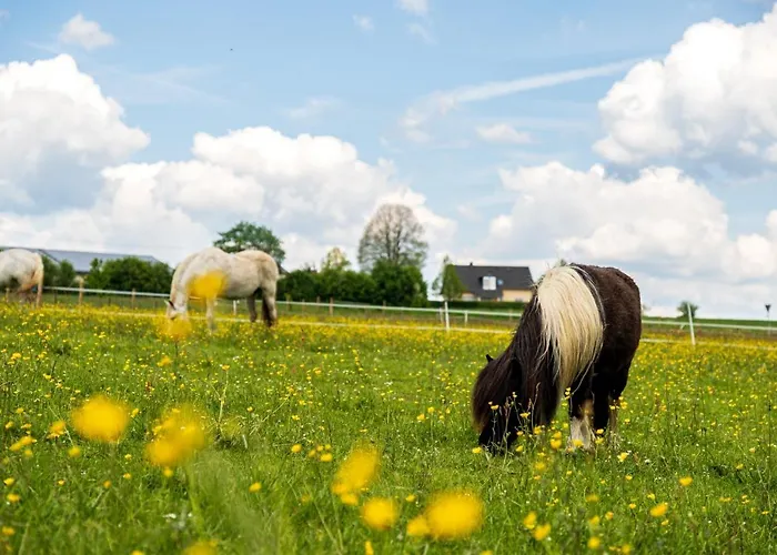 Eifel-Apartments Orsfeld - Apartments Mit Tieren & Natur * Orsfeld