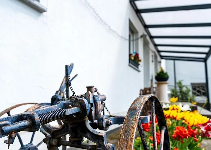 Eifel-apartments - Familienurlaub Mit Tieren & Orsfeld